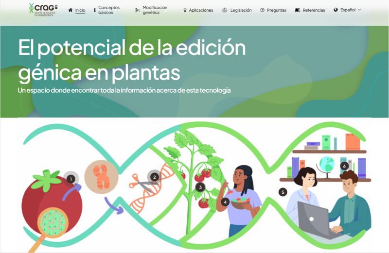 Web castellano